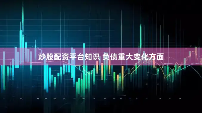 炒股配资平台知识 　　负债重大变化方面