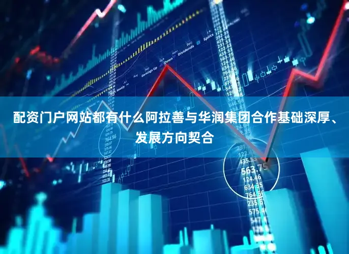 配资门户网站都有什么阿拉善与华润集团合作基础深厚、发展方向契合