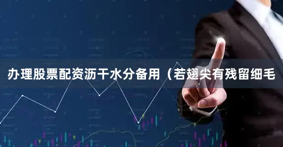 办理股票配资沥干水分备用（若翅尖有残留细毛